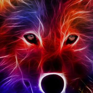 Meet your Posher, Cole